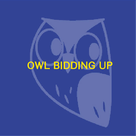 OWL Internet Bid Up
